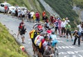 Group of Cyclists - Tour de France 2015