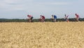 Group of Cyclists - Tour de France 2017