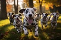 Group of dalmatian dogs running in the autumn park, Cute funny dalmatian dogs group running and playing on green grass in park in