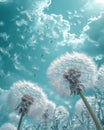 Group of Dandelions Blowing in the Wind Royalty Free Stock Photo