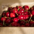 Dark red cherries in a day Royalty Free Stock Photo