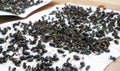 Group of dead fly trapped on sticky glue traps Royalty Free Stock Photo