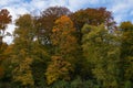 A group of deciduous trees in autumn in various colors against slightly covered sky.