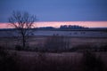 Group of Deers and Does Grazing in American Fields at Dusk in Wi