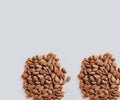 A group of delicious brown almond kernels. Royalty Free Stock Photo