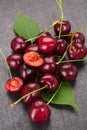 Group of delicious red cherries Royalty Free Stock Photo