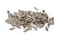 Group Delicious organic sunflower black seeds, isolated on white background Royalty Free Stock Photo