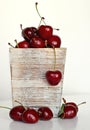 Group of delicious red cherries Royalty Free Stock Photo