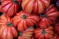 Group of delicious tasty and healthy red tomatoes fruits Royalty Free Stock Photo