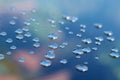 Group of dew drops under the blue sky Royalty Free Stock Photo