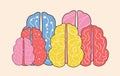 Group of different human brains. Neurodiversity symbol. Brainstorming, creative thinking sign. Colorful human minds metaphor.