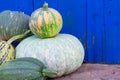 Group of different kind of pumpkins on bright blue painted background in countryside market. Autumnal Royalty Free Stock Photo