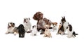 Group of different purebred dogs isolated over white studio background. Collage Royalty Free Stock Photo