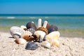 A group of different sea shells and stones lies on the sand against a blue sea and blue sky summer vacation Royalty Free Stock Photo