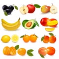 Group with different sorts of fruit.