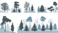 Group of different trees spruce, pine, oak, maple, etc. in forest or in park, isolated on white background. Vector illustration Royalty Free Stock Photo