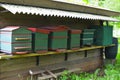 Group of different wooden beehives at outdoor apiary