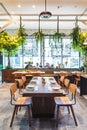 Group dining table set decorated with table, wooden chairs, green plant and white scratch texture wallpaper. Modern interior.