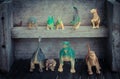 Group of dinosaurs on wooden shelf
