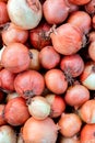 Group of dirty golden onions fresh gathered on field at ecological farm, summer tray market full of organic vegetables healthy