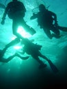 Group of divers