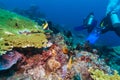 Group of divers going deep Royalty Free Stock Photo