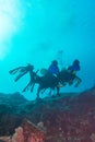 Group of divers going deep Royalty Free Stock Photo