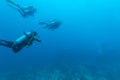 Group of divers going deep Royalty Free Stock Photo