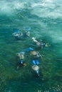Group of divers preparing for the dive Royalty Free Stock Photo