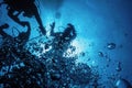 Group of Divers on Safety Stop Underwater Bubbles Royalty Free Stock Photo