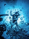 Group of Divers on Safety Stop Underwater Bubbles