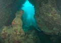 Divers swimming in cave