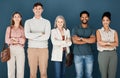 Group of diverse happy businesspeople standing in a line in an office together. Five expert business professionals Royalty Free Stock Photo