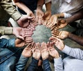 Group of diverse palms circled support together