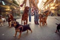 Group of dog walking on leash with professional dog walker