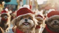 a group of dogs, adorned in Santa hats, joyfully parading down a street festooned with Christmas decorations