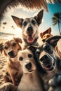 group of dogs on the beach holiday taking a selfie