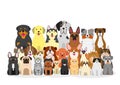 Group of dogs and cats Royalty Free Stock Photo
