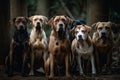 group of dogs, each one looking in their own direction, creating an eye-catching and unique composition