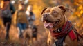 A group of dogs on a guided nature hike, wearing Canine Fitness Month bandanas, exploring forest trails as a way to