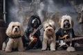 group of dogs like rock stars, posing and showing off their talent