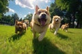 A group of dogs playing and running together in the park. Generative AI Royalty Free Stock Photo