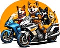 A group of dogs riding on the back of a motorcycle.