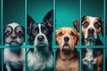 A group of dogs in a shelter, created with Generative AI technology