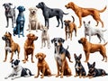 A Group Of Dogs Sitting Next To Each Other. Generative AI Royalty Free Stock Photo