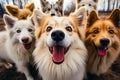 Group of dogs standing next to each other on field. Generative AI Royalty Free Stock Photo