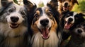 Photo of a pack of dogs standing together