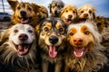 Group of dogs with their mouths open and their heads turned. Generative AI Royalty Free Stock Photo