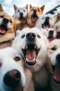 Group of dogs with their mouths open and their mouths wide open. Generative AI Royalty Free Stock Photo