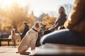 Dog owners enjoying a relaxing day with their furry friends in the city park